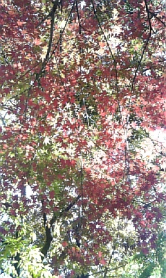 081203_095645.jpg