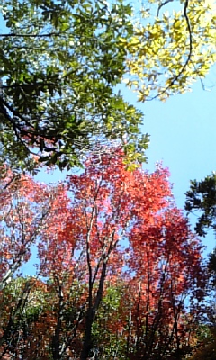 081203_095839.jpg
