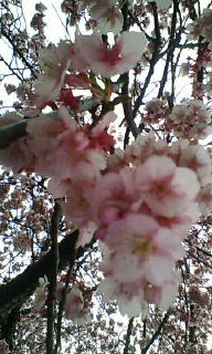 image/shion7yu-2006-03-06T18:36:37-1.jpg