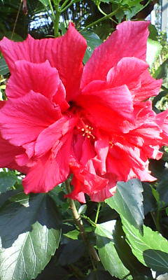 20070130141233.jpg