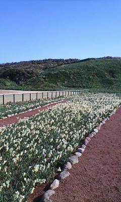 20070130133259.jpg