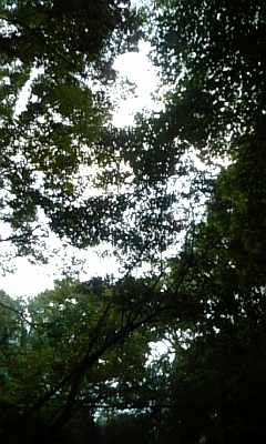 081017_165012.jpg