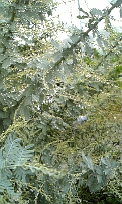 081024_103923.jpg