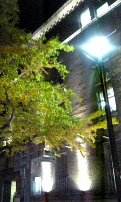 081207_195826.jpg